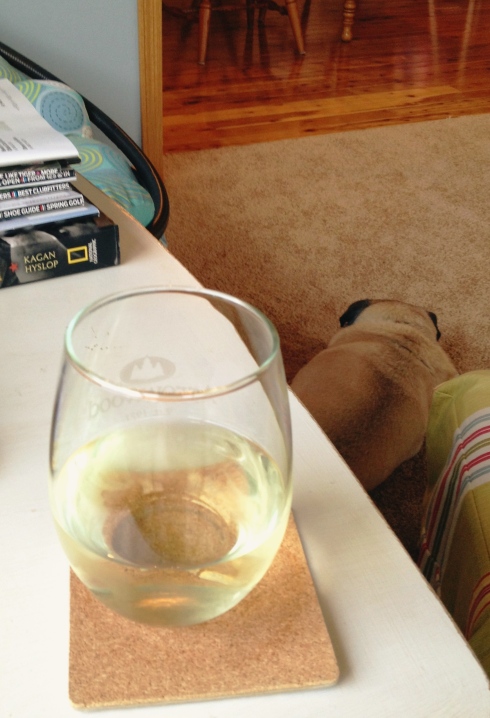 A glass of wine with Earl the Pug at my feet.