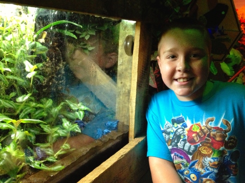 Have I mentioned Joe loves frogs? Especially poison dart frogs from the Rainforest!  |  Sea Life Minnesota