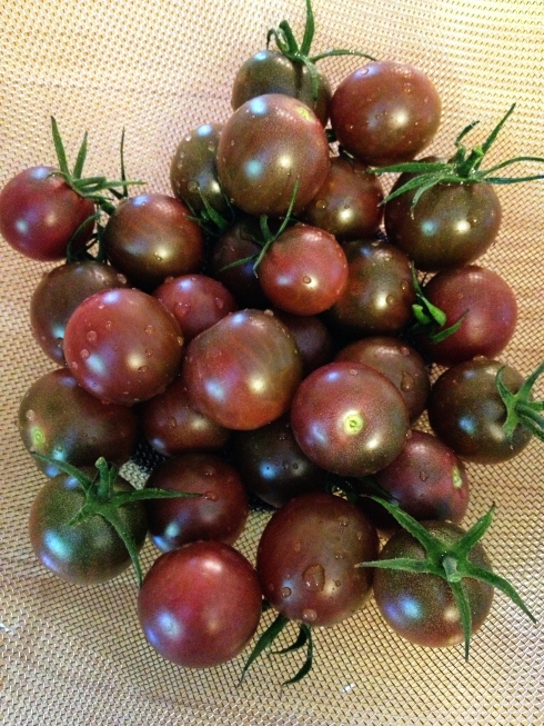 Chocolate Cherry Tomatoes | via myothermoreexcitingself.wordpress.com
