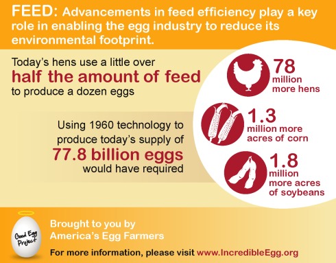 Today's hens use a little over half the amount of feed to produce a dozen eggs compared to 1960 - playing a key role in reducing the egg industry's environmental footprint. | via MyOtherMoreExcitingSelf.wordpress.com