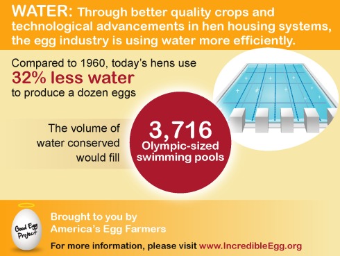 Through better quality crops and technological advancements in hen housing systems, the egg industry is using 32% less water to produce a dozen eggs compared to 1960. | via MyOtherMoreExcitingSelf.wordpress.com
