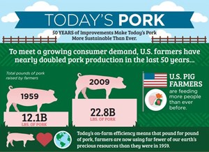 Pork's Environmental Impact | via MyOtherMoreExcitingSelf.wordpress.com