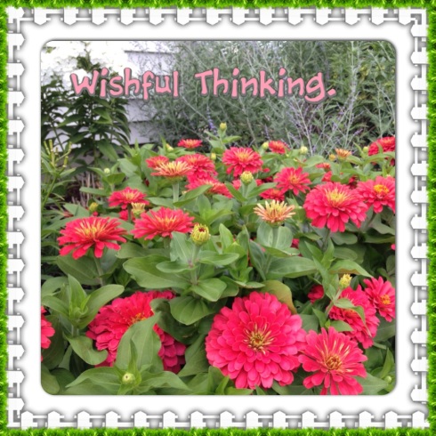 Wordless Wednesday: Wishful Thinking | via MyOtherMoreExcitingSelf.wordpress.com