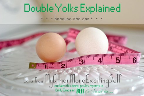Double Yolks Explained | via MyOtherMoreExcitingSelf.wordpress.com