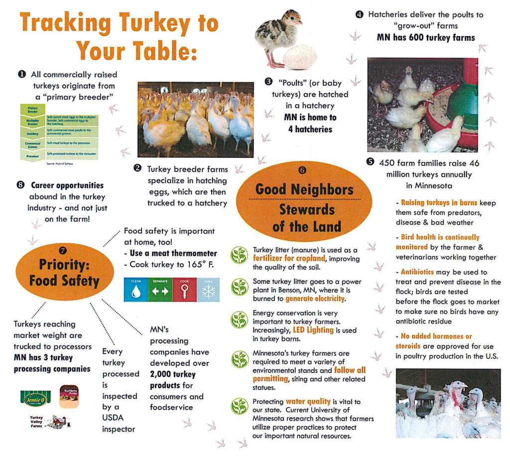 Tracking Turkey to Your Table | via MyOtherMoreExcitingSelf.wordpress.com