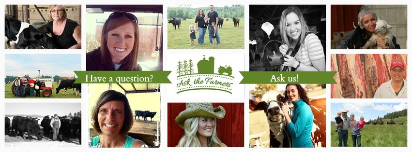 Ask The Farmers Program | via MyOtherMoreExcitingSelf.wordpress.com