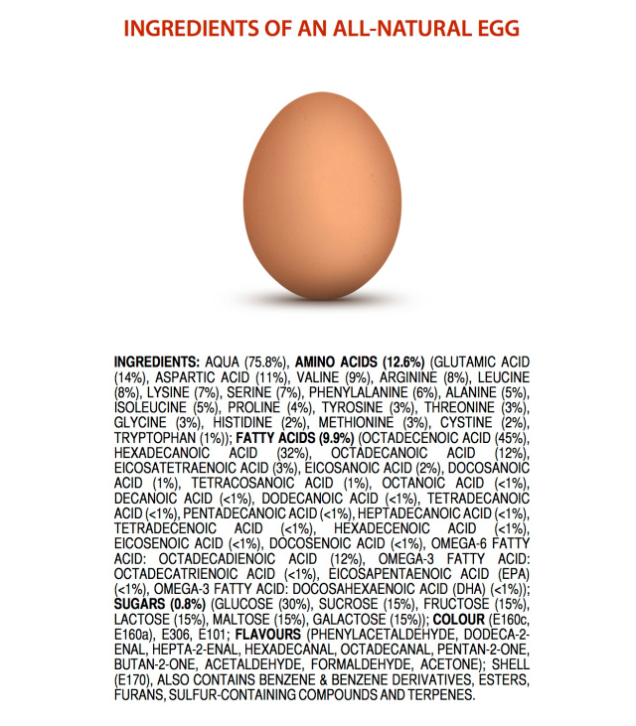Indgredients in an egg | via MyOtherMoreExcitingSelf.wordpress.com