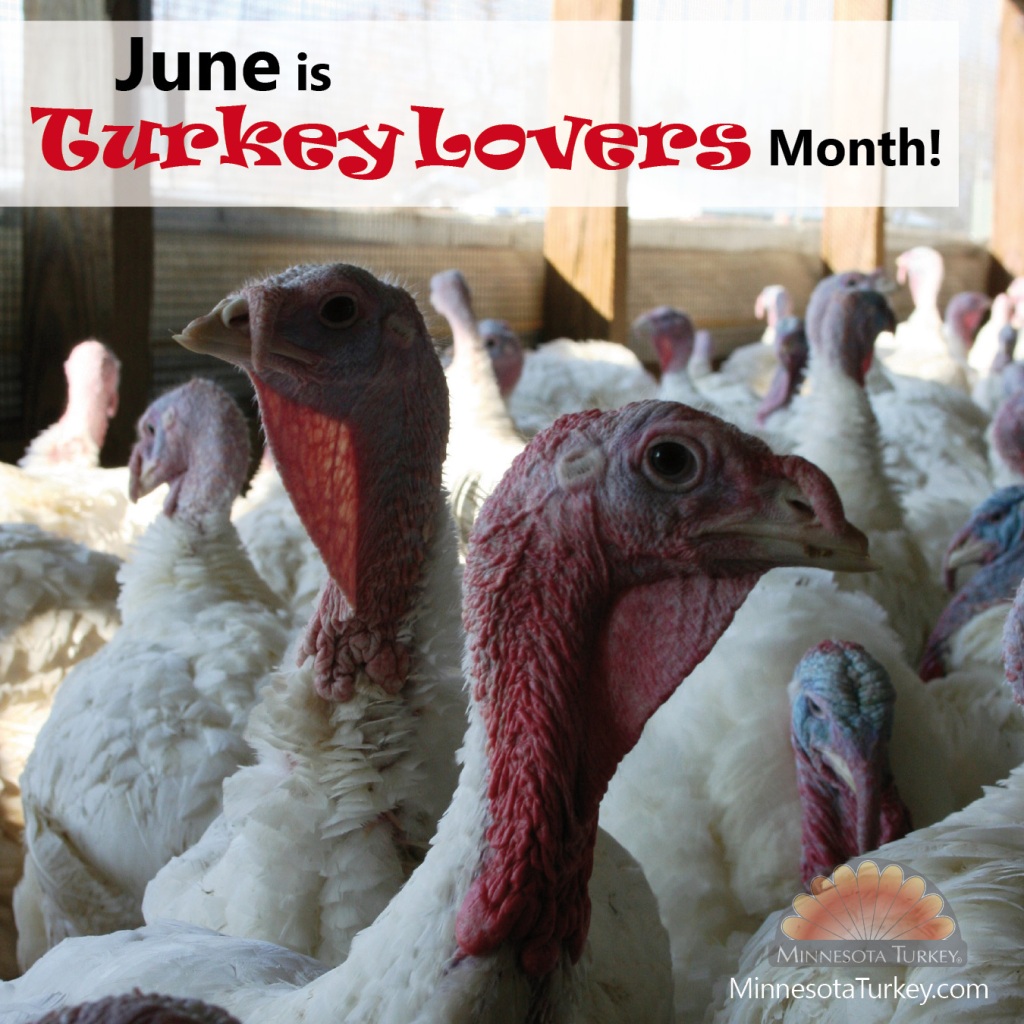 June is Turkey Lovers Month! | via MyOtherMoreExcitingSelf.wordpress.com #SwitchToTurkey #TurkeyEveryday